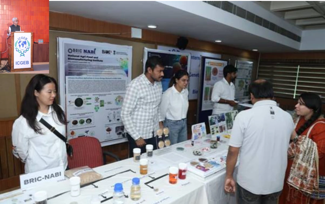 ICGEB Celebrates 1 Year of BioE3 Policy for Green Growth