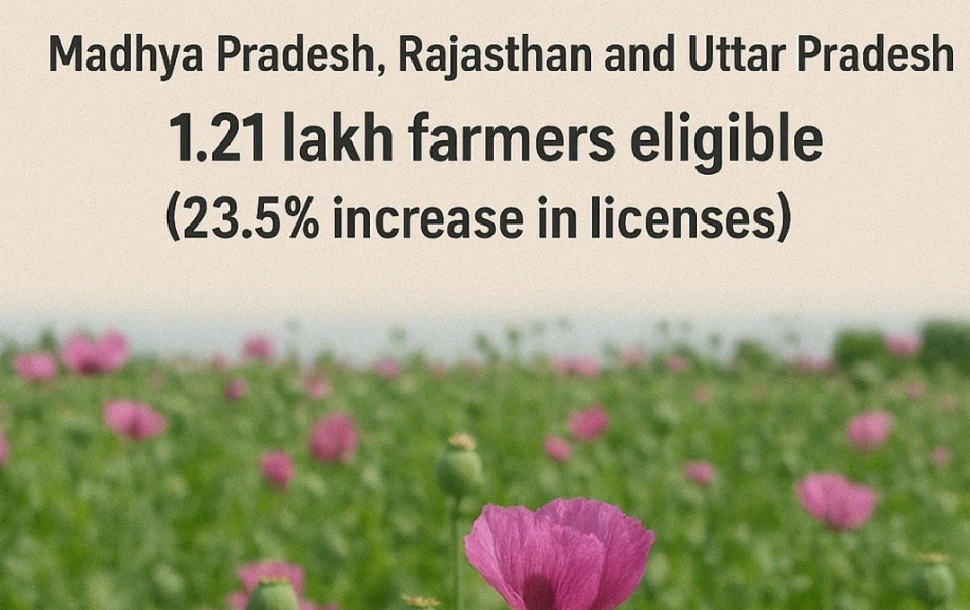 1 Government Announces Annual Opium Poppy Licensing Policy 2025-26 for Madhya Pradesh, Rajasthan & Uttar Pradesh
